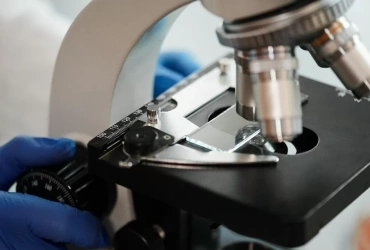 Peptide Catalog: Where to Find Extensive Research Options?